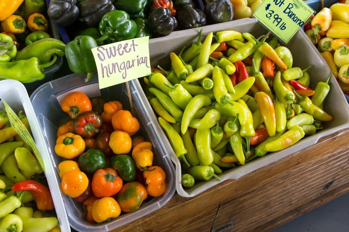 Comparing Shire Farmers Markets: Which One Fits Your Saturday Routine?